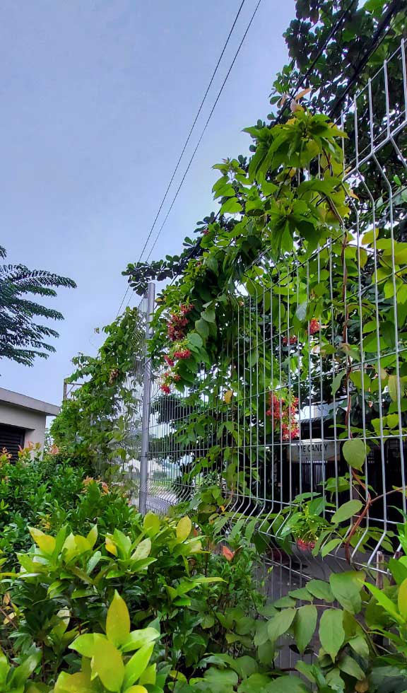 Vườn hoa Picity High Park quận 12